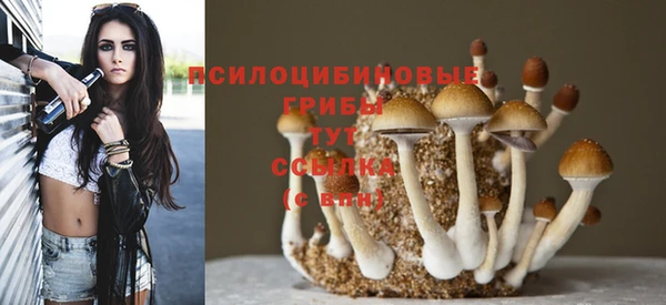 дурь Сосновоборск