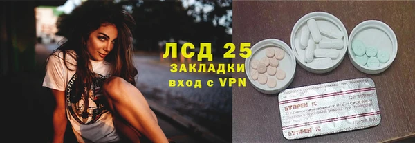 шишки Аркадак