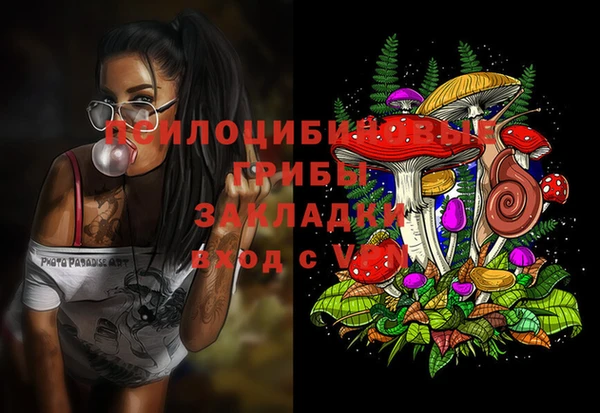 шишки Аркадак
