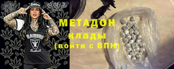 шишки Аркадак