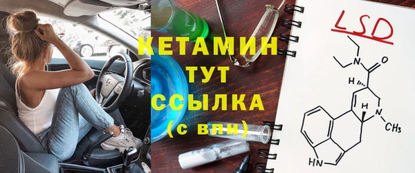 шишки Аркадак