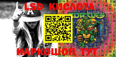 индика Аргун