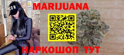 индика Аргун