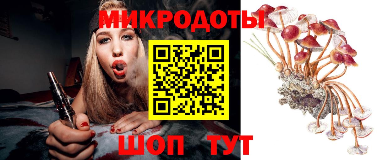 Галлюциногенные грибы GOLDEN TEACHER  Вход с VPN  Выкса  купить наркотик  Галлюциногенные грибы мицелий 