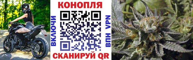 ОМГ ОМГ вход Выкса Конопля Amnesia
