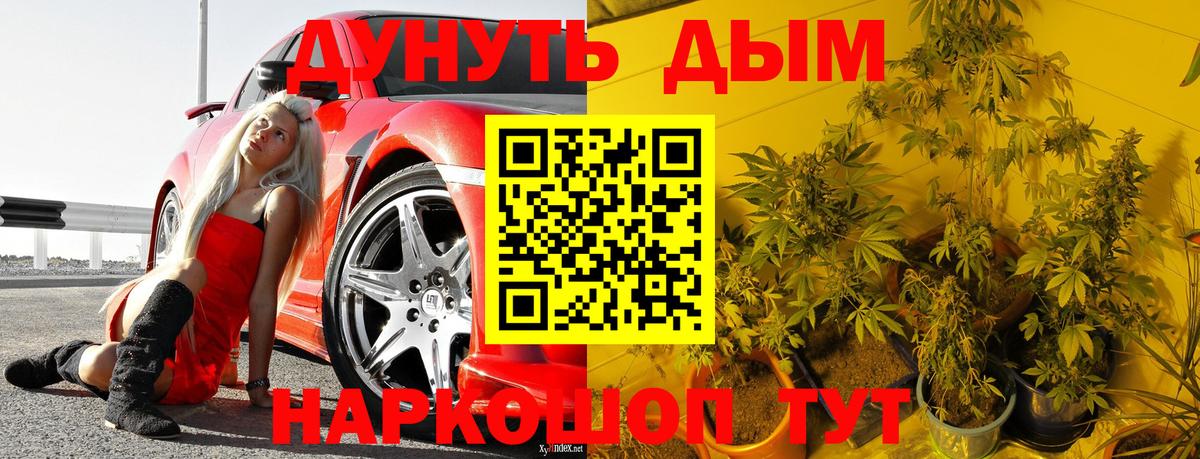 Конопля семена  Вход с VPN  Бошки Шишки семена  Выкса  Бошки Шишки LSD WEED 